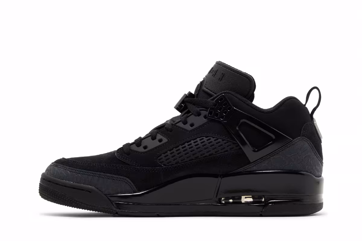 Air Jordan Spizike Low Black Cat, view 4