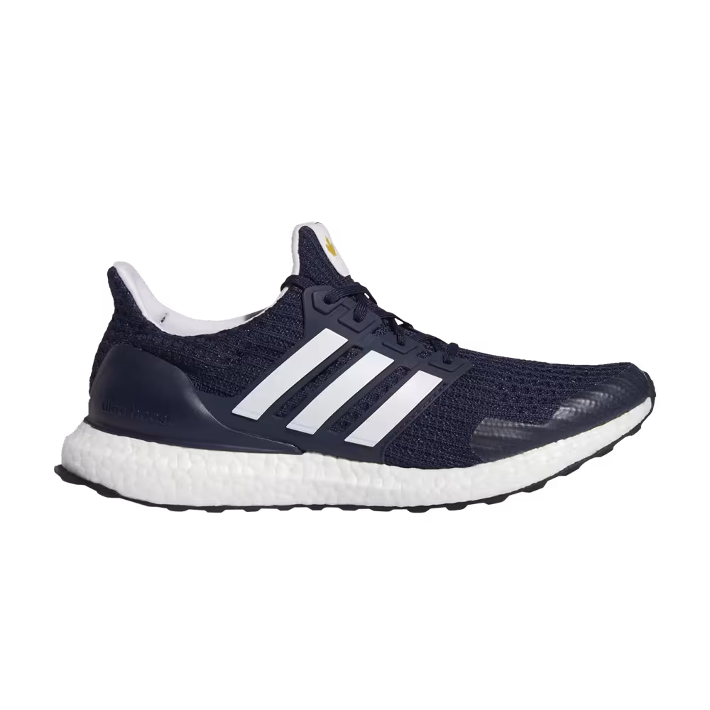 Adidas UltraBoost DNA Terry Fox - Marathon Of Hope