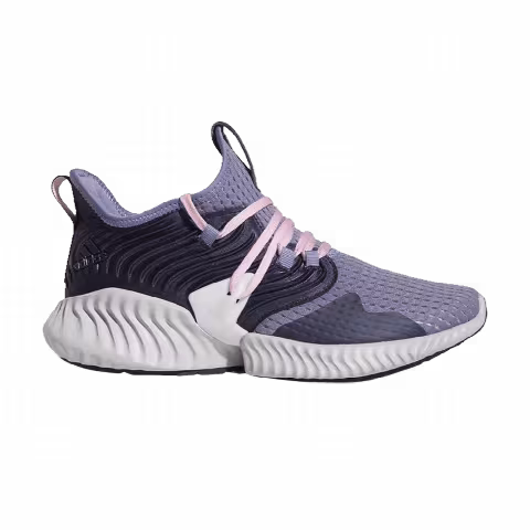 Adidas Wmns Alphabounce Instinct Clima 'Legend Ink'