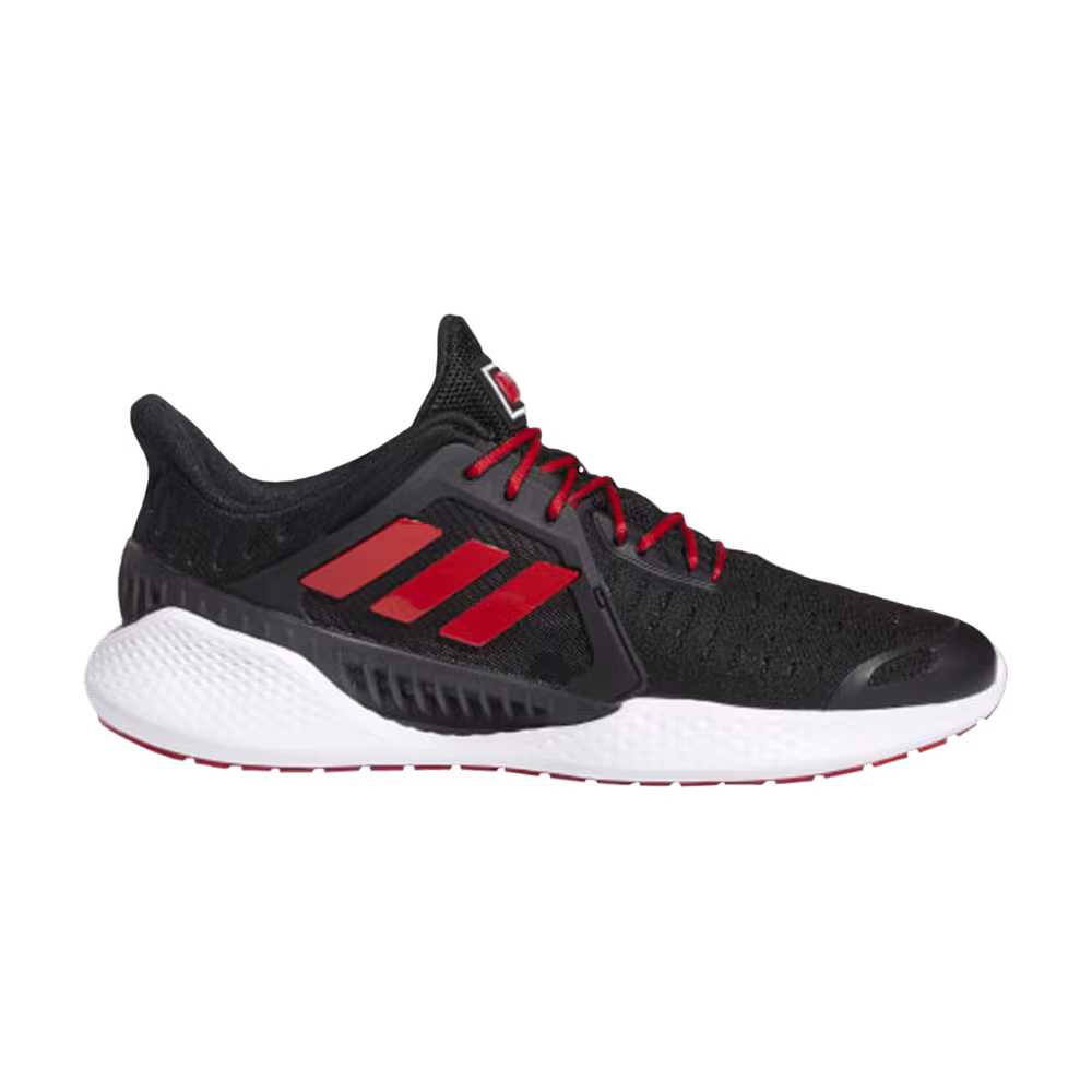 Adidas Climacool Vent Summer.Rdy EM Black Scarlet