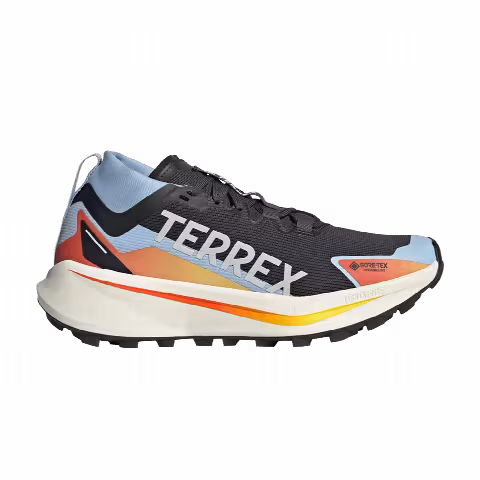 adidas Wmns Terrex Agravic GORE-TEX Trail 'Core Black Cloud White Glow Blue'