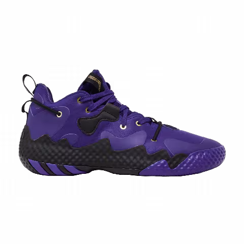 adidas Harden Vol. 6 'Team College Purple'