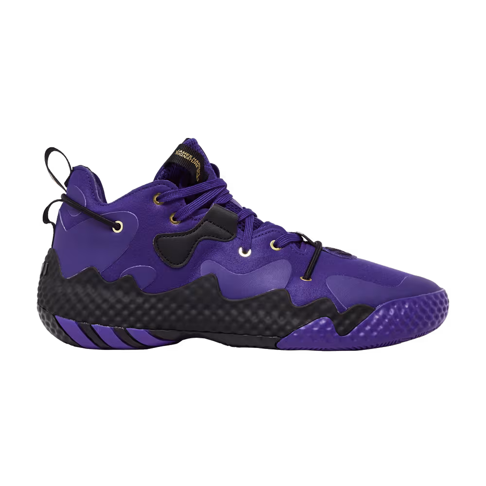 adidas Harden Vol. 6 Team College Purple