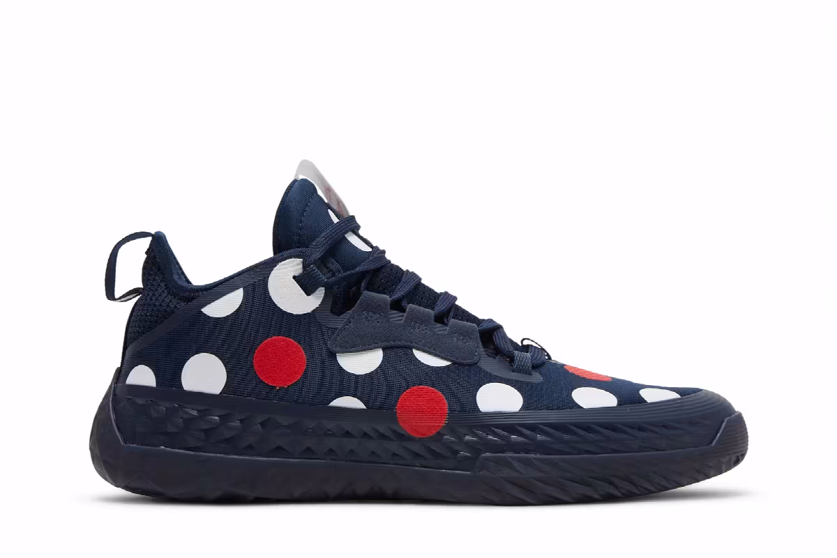 adidas Harden Vol. 5 Futurenatural Polka Dot - Team Navy, view 2