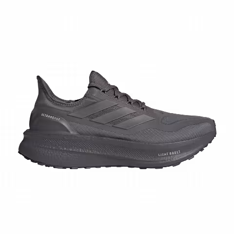 Adidas Ultraboost 5 GORE-TEX 'Grey Wonder Silver'