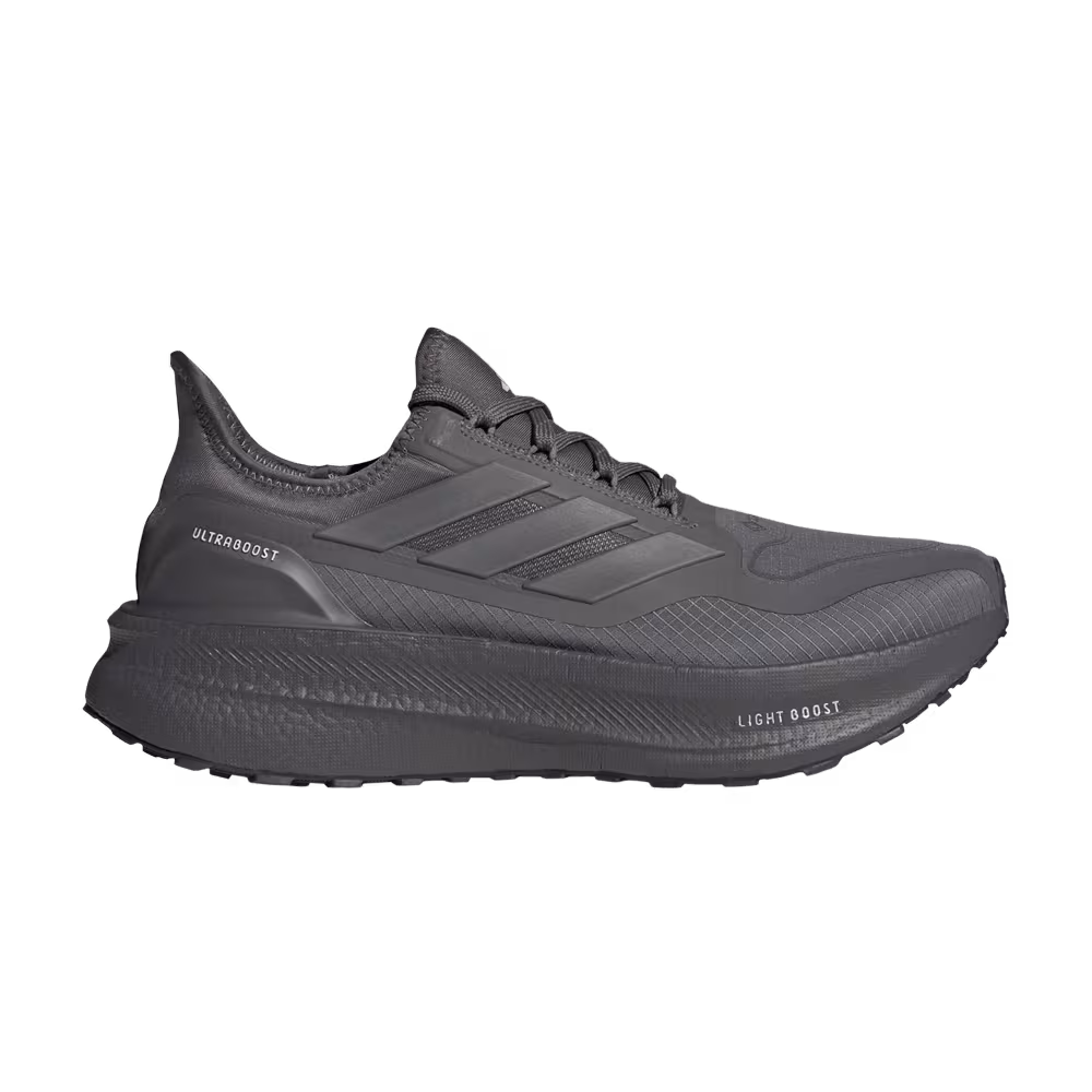 Adidas Ultraboost 5 GORE-TEX Grey Wonder Silver