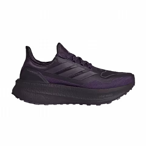 adidas WMNS ULTRABOOST 5 GTX 'Aurora Black'