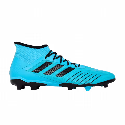 Adidas Predator 19.2 FG 'Bright Cyan Black'