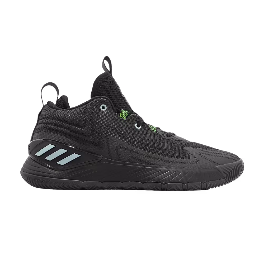 adidas D Rose Son Of Chi 2 50pts