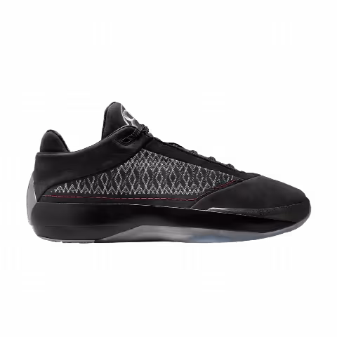 Air Jordan 4023 'Stealth'