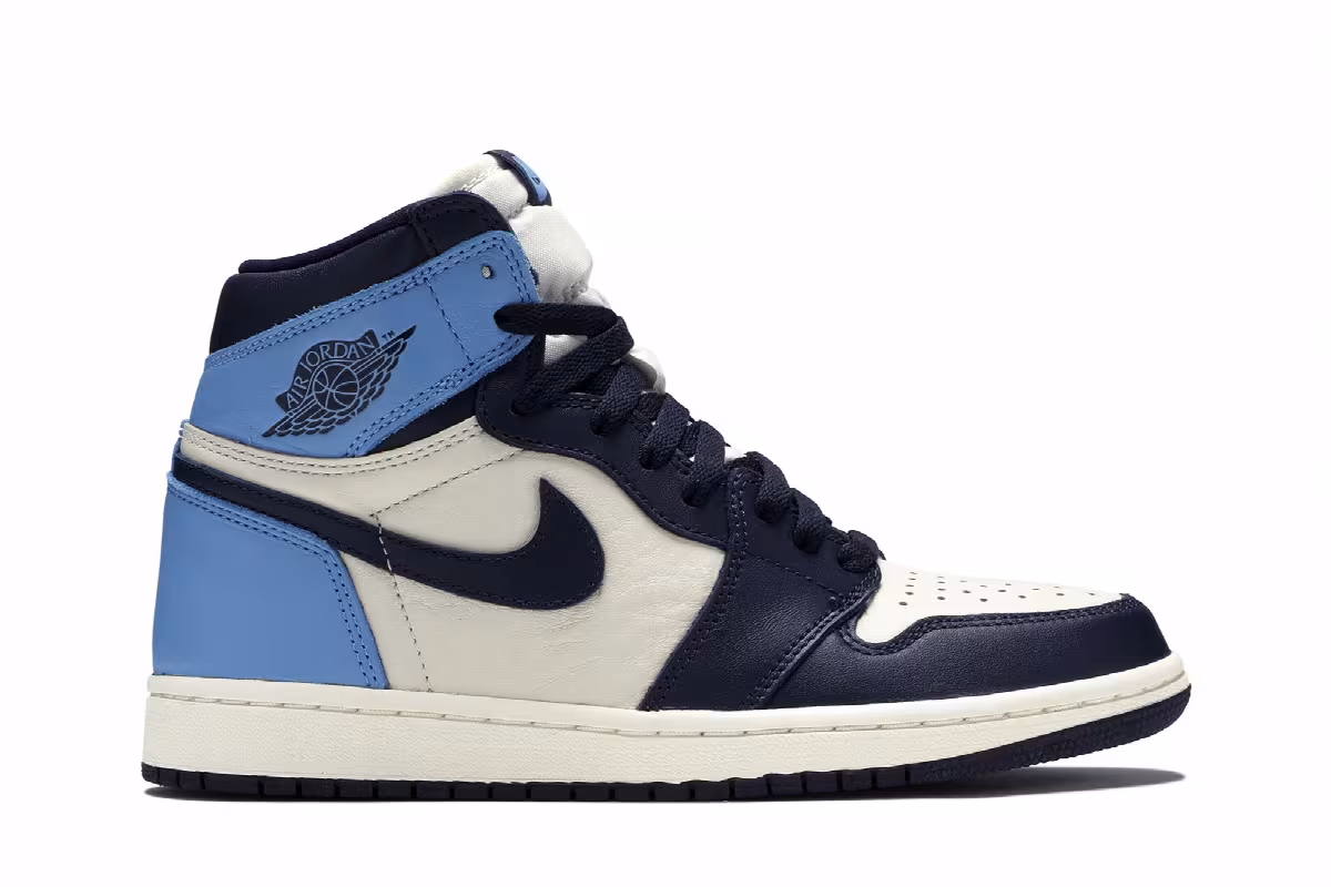 Air Jordan 1 High OG Obsidian, UNC, view 2