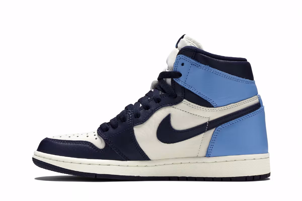 Air Jordan 1 High OG Obsidian, UNC, view 4