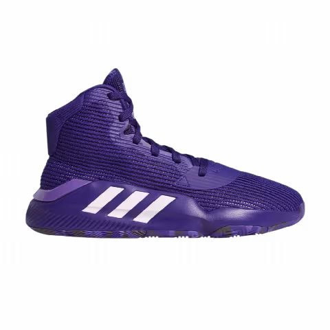 Adidas Pro Bounce 2019 'Collegiate Purple'