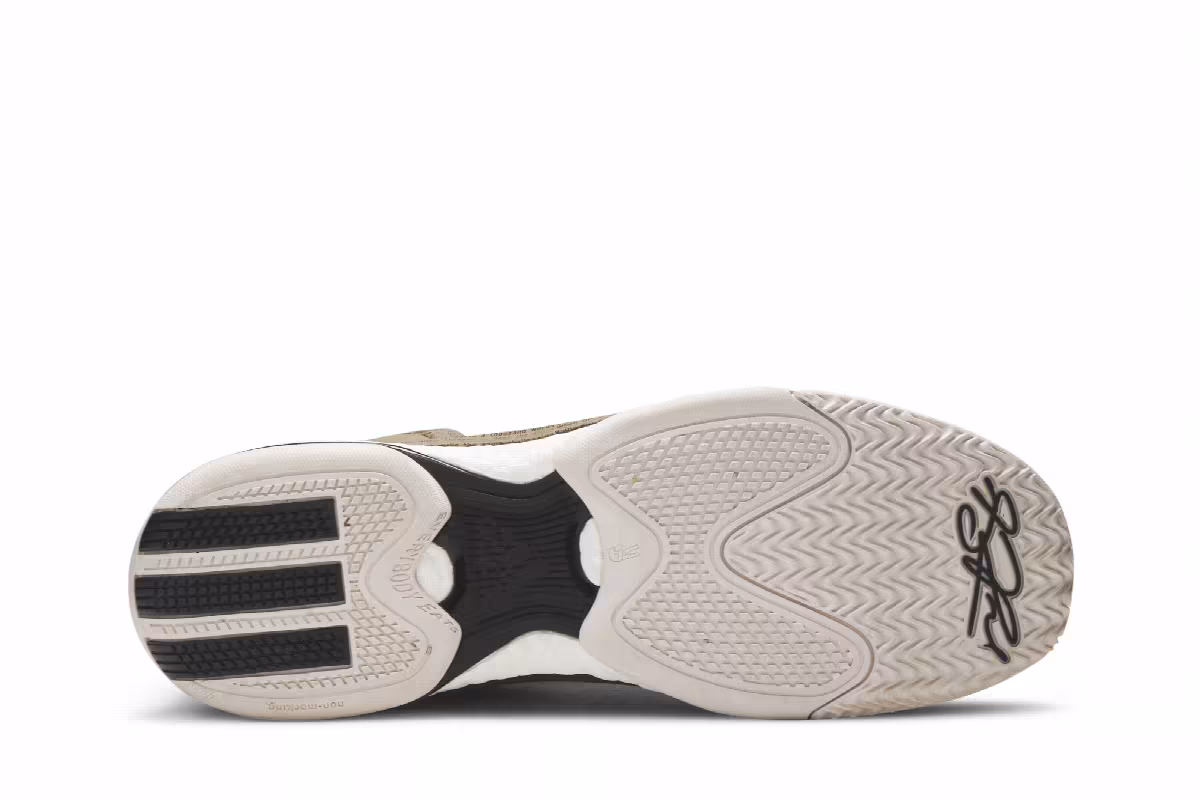 Adidas D Rose 5 Boost BHM, view 5
