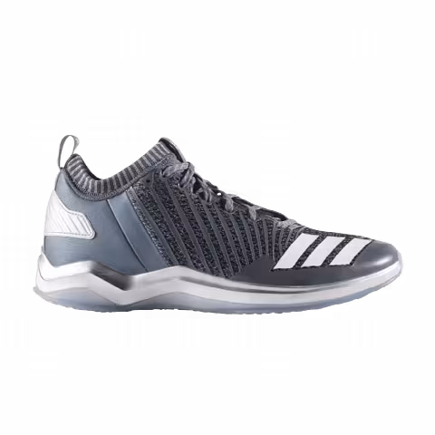 Adidas Icon Trainer 'Onix Silver Metallic'