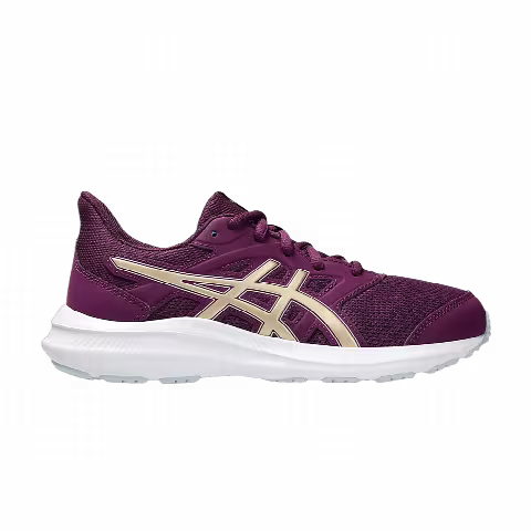 Asics Jolt 4 GS 'Deep Mauve Champagne'