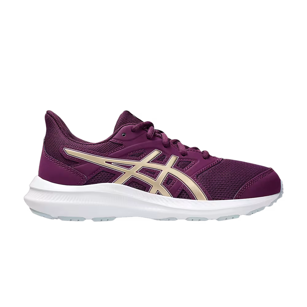 Asics Jolt 4 GS Deep Mauve Champagne