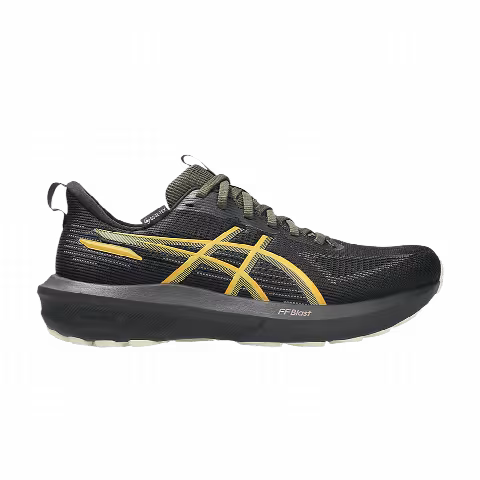 ASICS Wmns GT 1000 14 GORE-TEX 'Black Sandstorm'