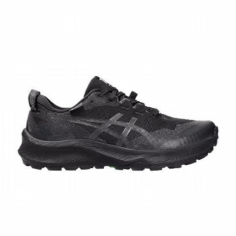 Asics Wmns Gel Trabuco 12 GORE-TEX 'Black Graphite Grey'