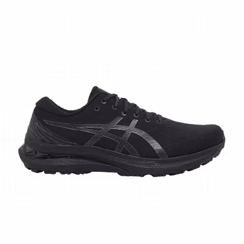 Asics Gel Kayano 29 4E Wide 'Triple Black'