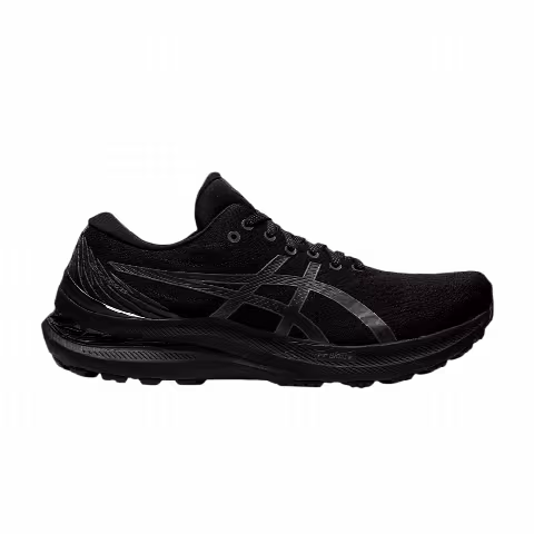 Asics Gel Kayano 29 2E Wide 'Triple Black'