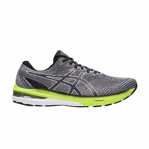 Asics GT 2000 10 'Carrier Grey'