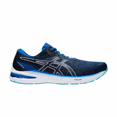 Asics GT 2000 10 2E Wide 'Lake Drive'