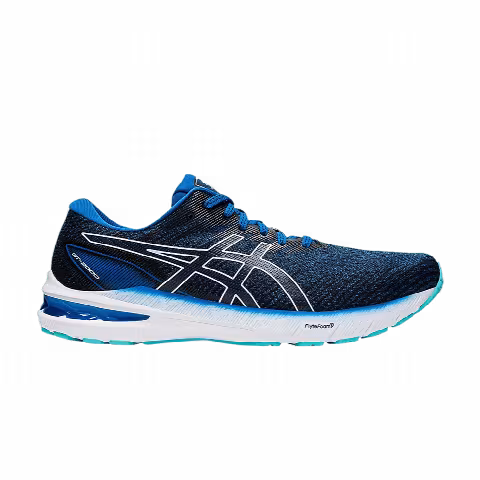 Asics GT 2000 10 'Lake Drive'