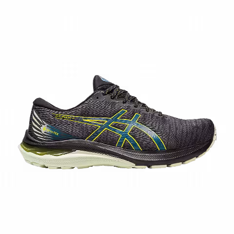 Asics GT 2000 11 GORE-TEX 'Black Ink Teal'