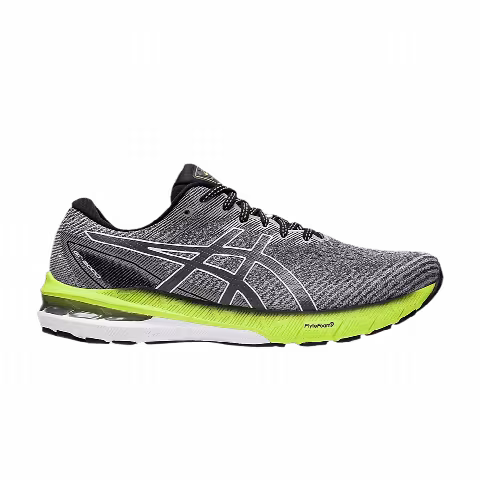 Asics GT 2000 10 2E Wide 'Carrier Grey'
