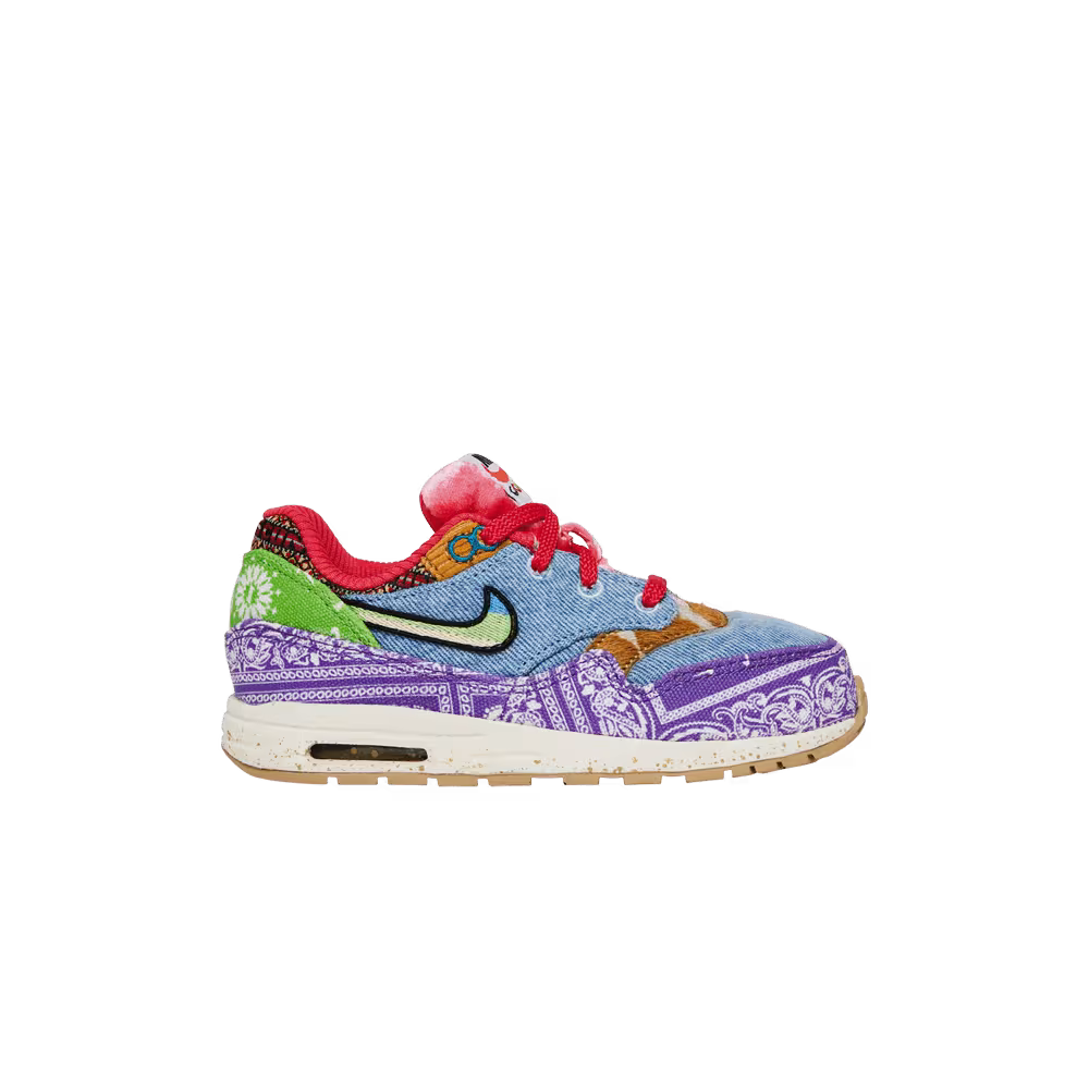 Nike Concepts x Air Max 1 SP TD Far Out