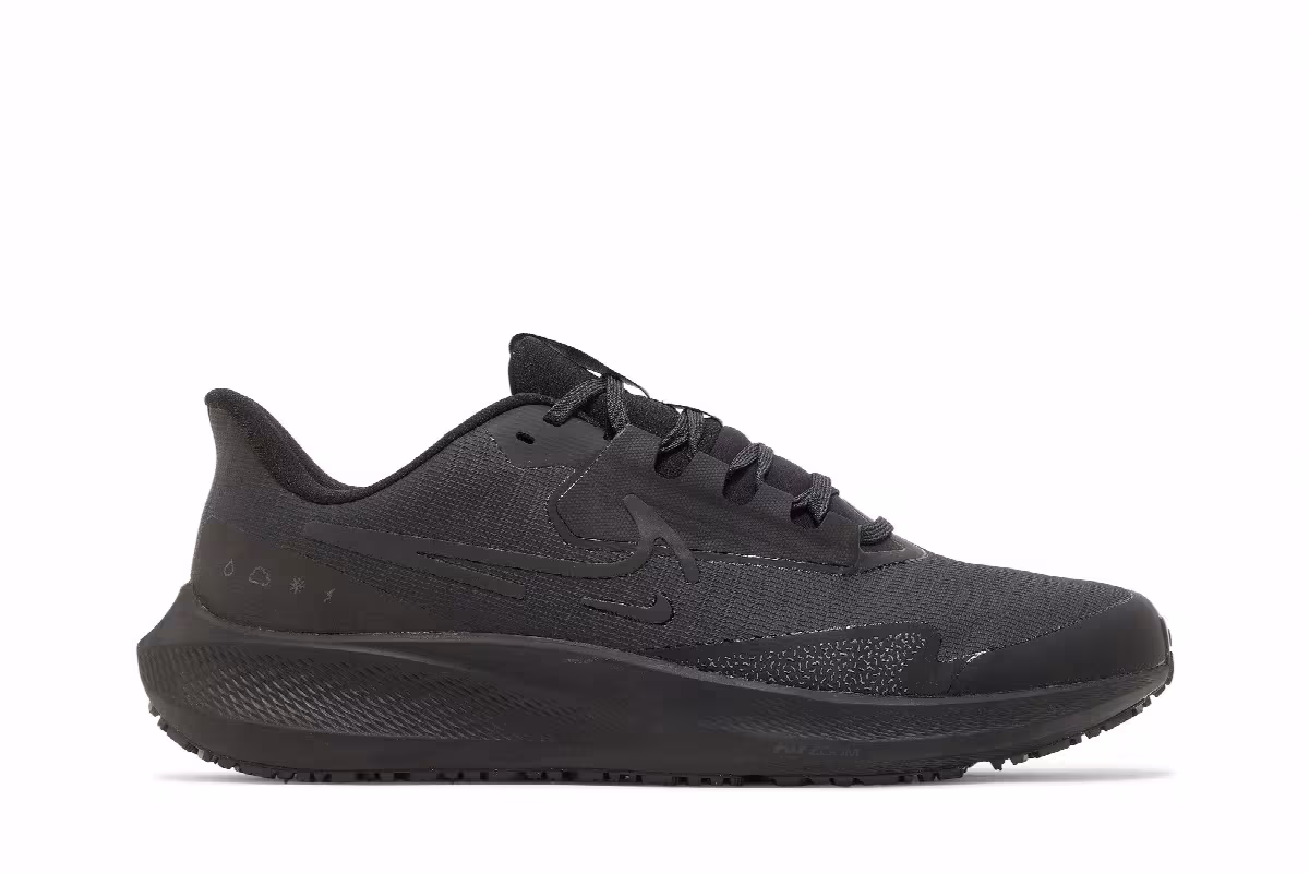 Nike Air Zoom Pegasus 39 Shield Black Off Noir, view 2