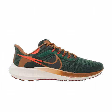 Hola Lou x Nike Air Zoom Pegasus 39 'A.I.R.'