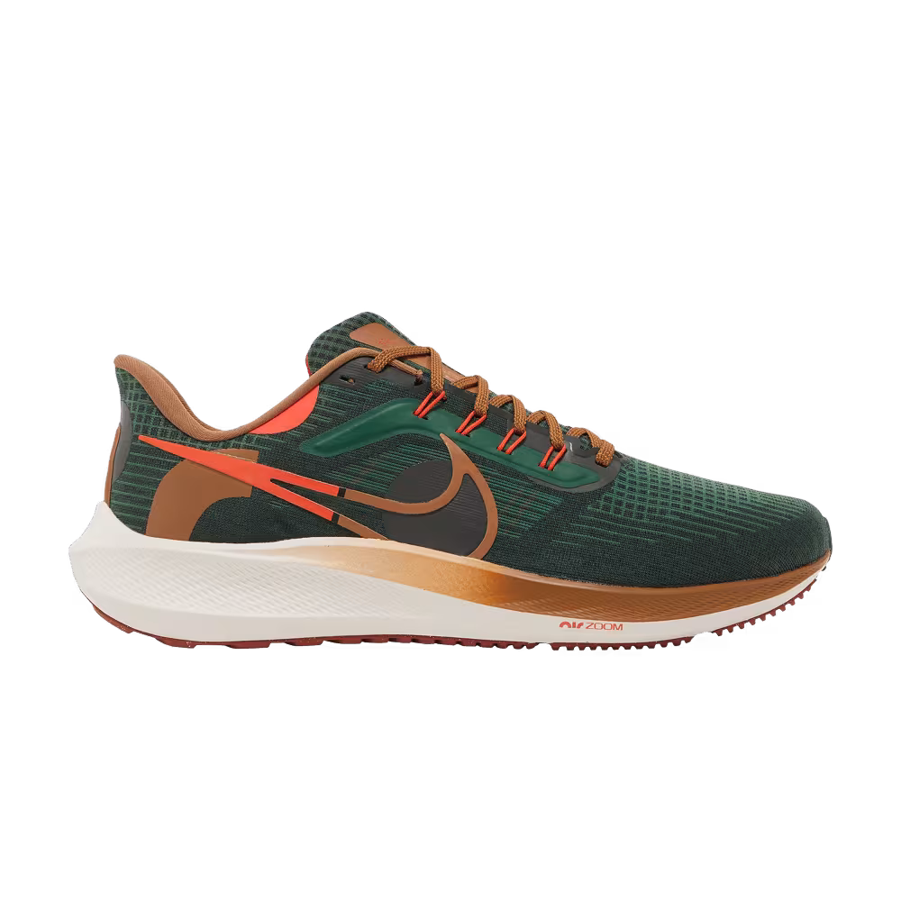 Hola Lou x Nike Air Zoom Pegasus 39 A.I.R.