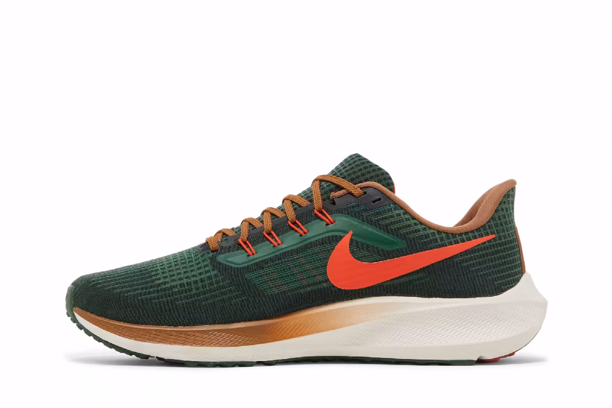 Hola Lou x Nike Air Zoom Pegasus 39 A.I.R., view 4