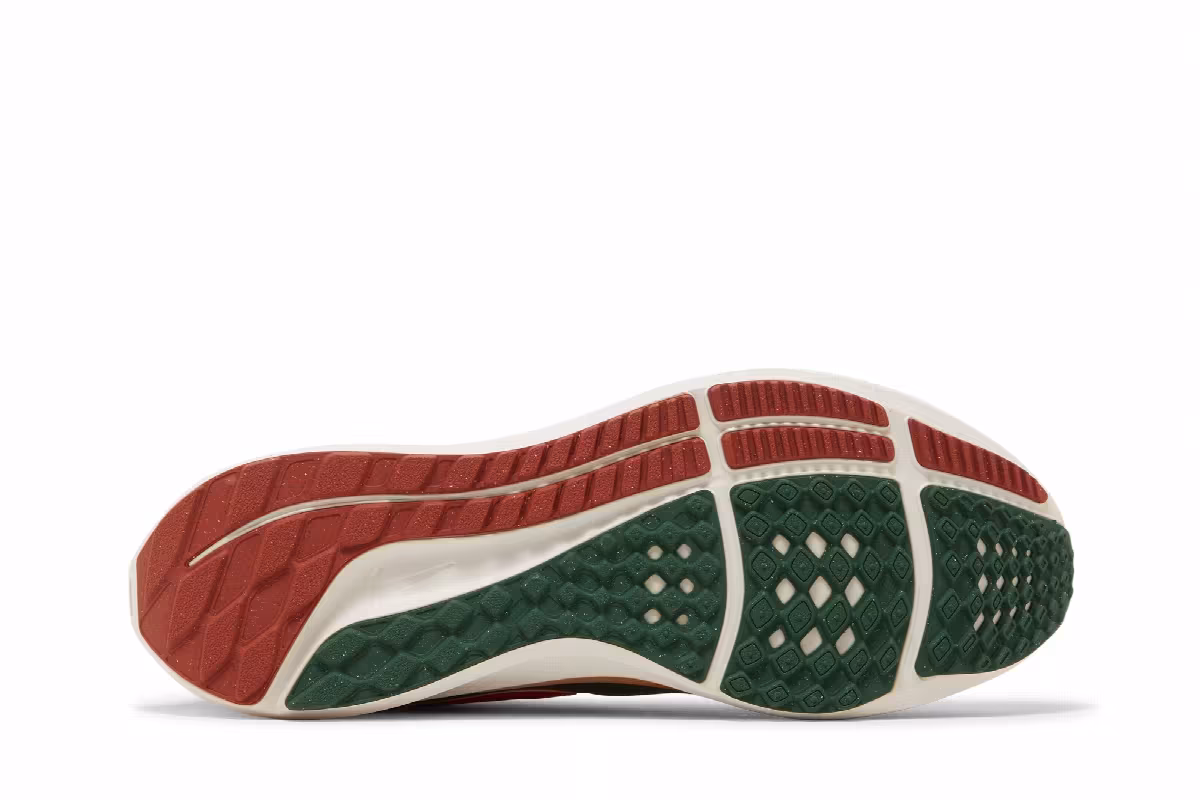 Hola Lou x Nike Air Zoom Pegasus 39 A.I.R., view 5