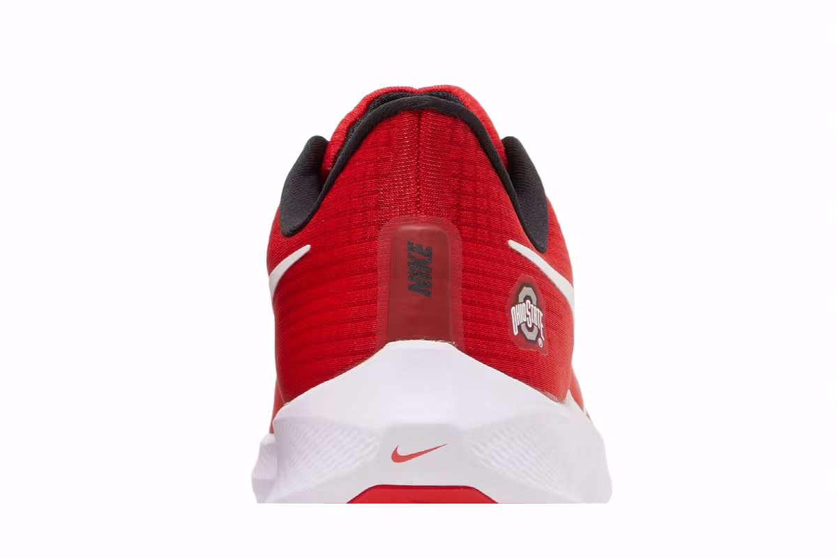 Nike Air Zoom Pegasus 39 Ohio State, view 8