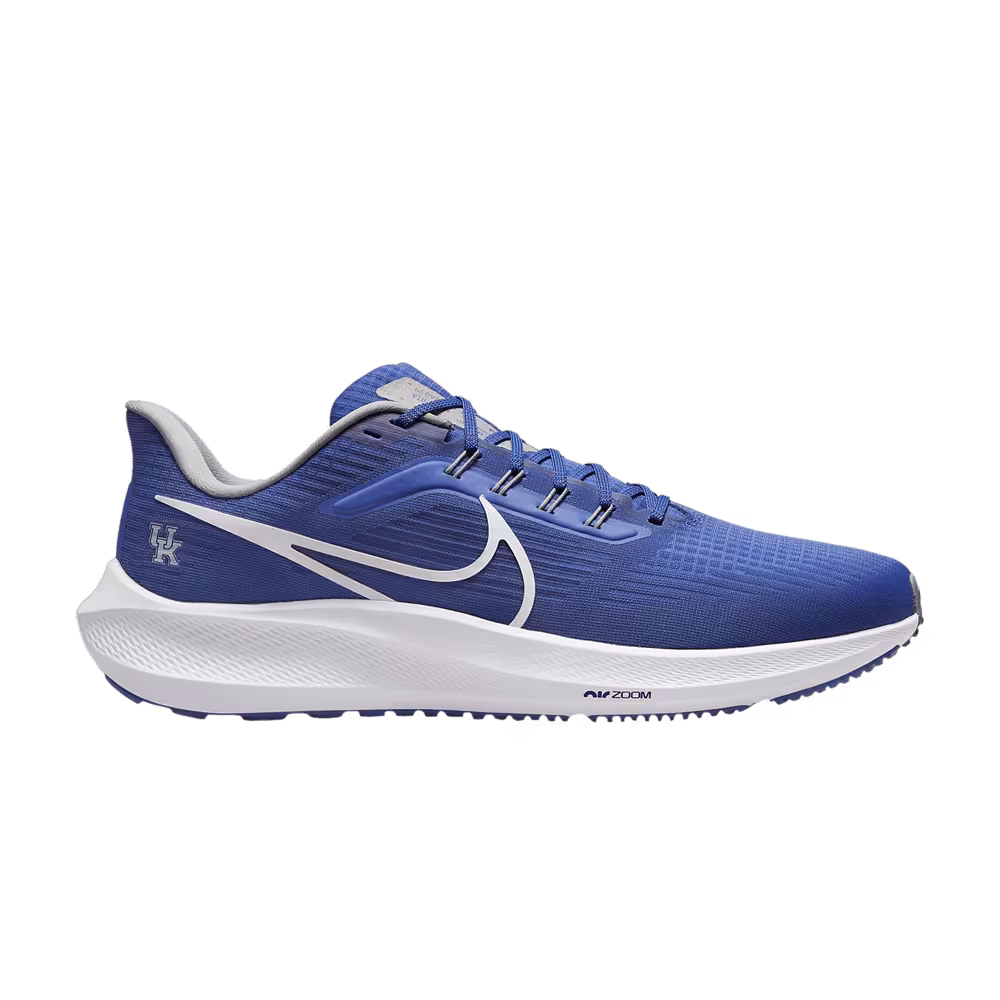 Nike Air Zoom Pegasus 39 Kentucky