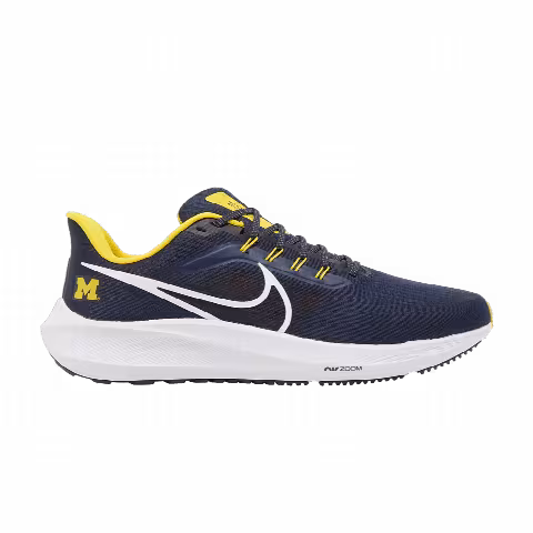 Nike Air Zoom Pegasus 39 'Michigan'