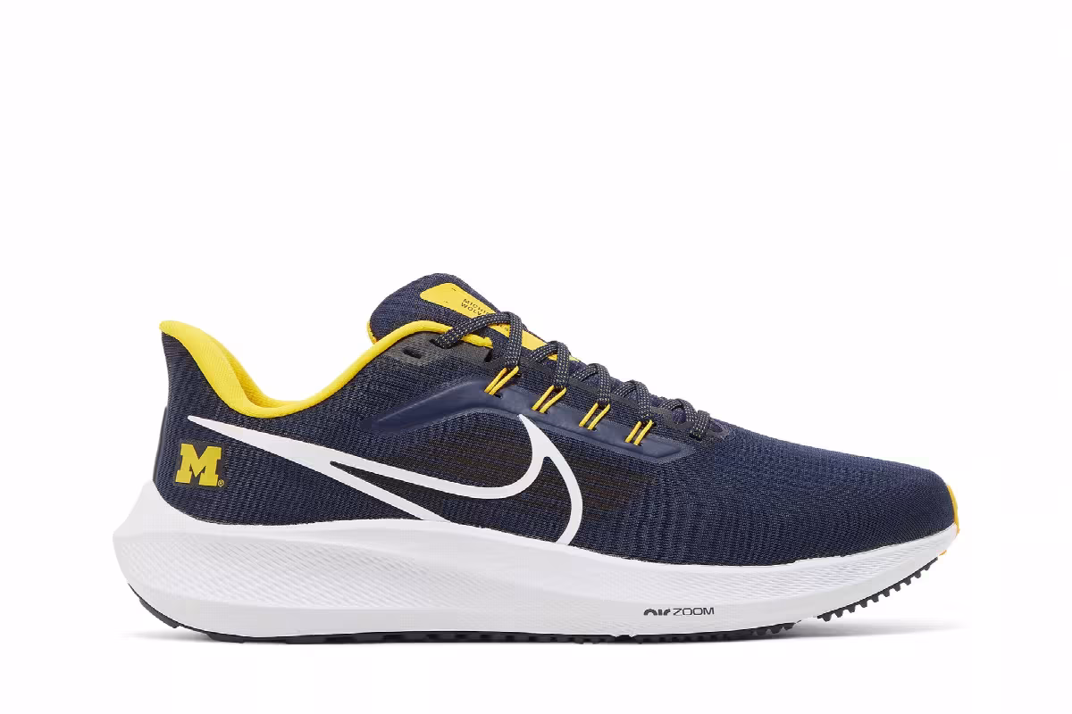 Nike Air Zoom Pegasus 39 Michigan, view 2