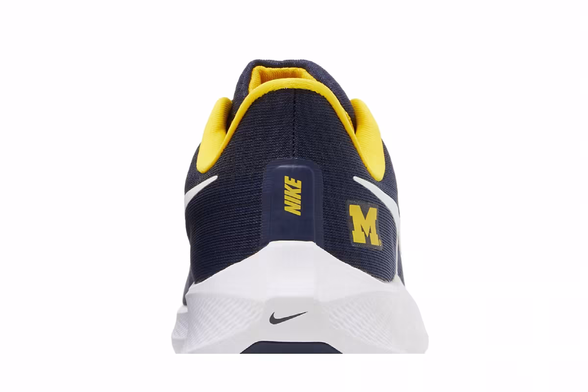 Nike Air Zoom Pegasus 39 Michigan, view 8