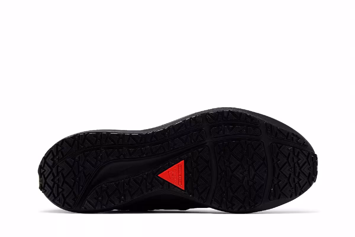 Nike Women's Air Zoom Pegasus 39 Shield Triple Black, view 5