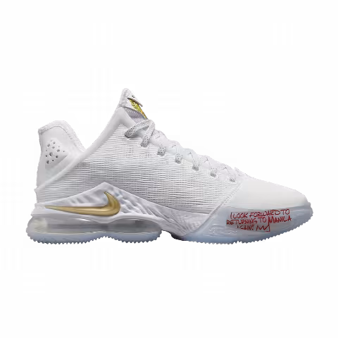 Titan x Nike LeBron 19 Low 'Beyond The Seas'