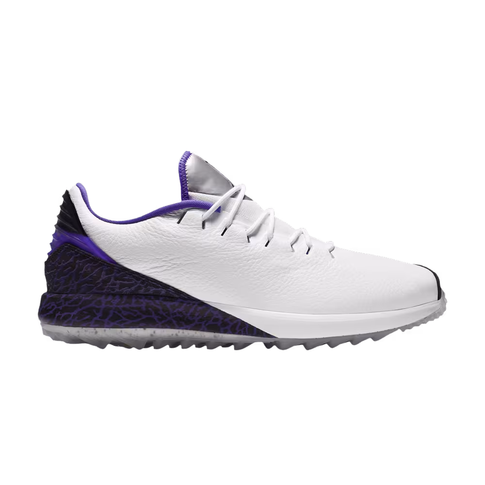 Air Jordan ADG Dark Concord