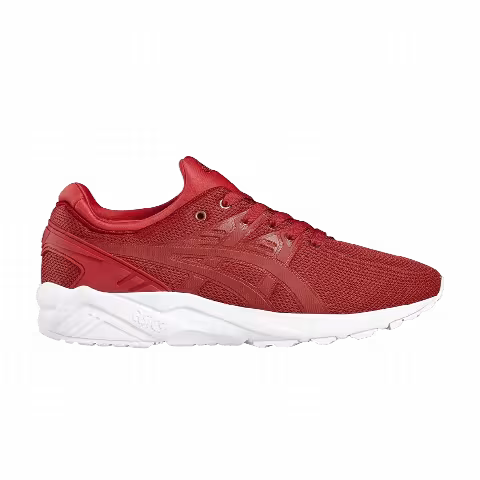 Asics Gel Kayano Trainer Evo