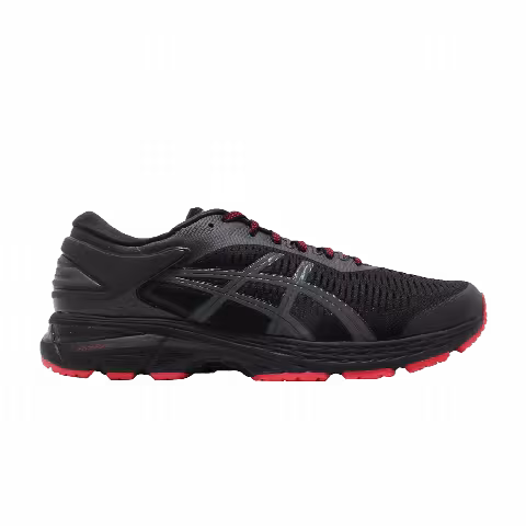 Asics Gel Kayano 25 Lite-Show