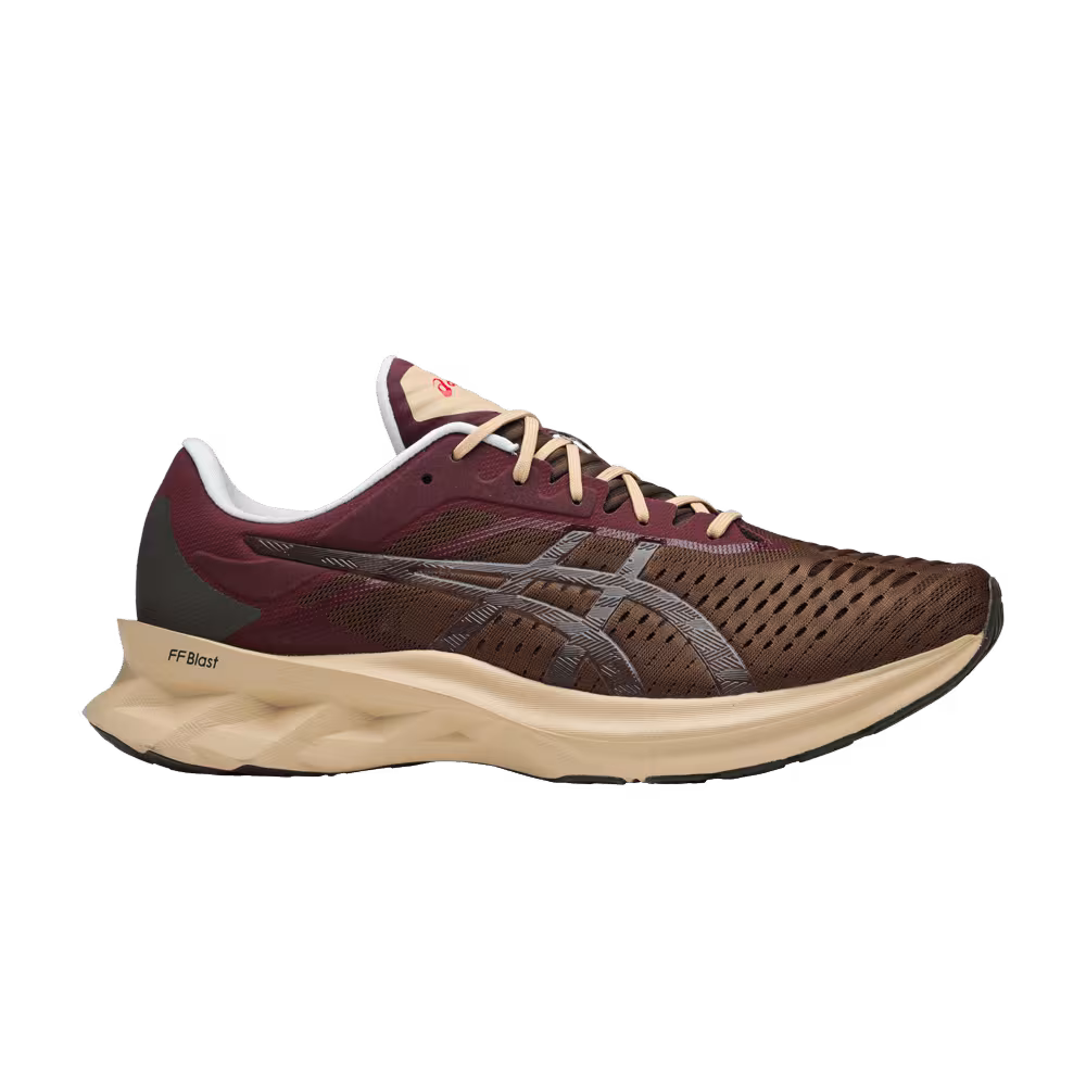 Asics Novablast Brown Burgundy