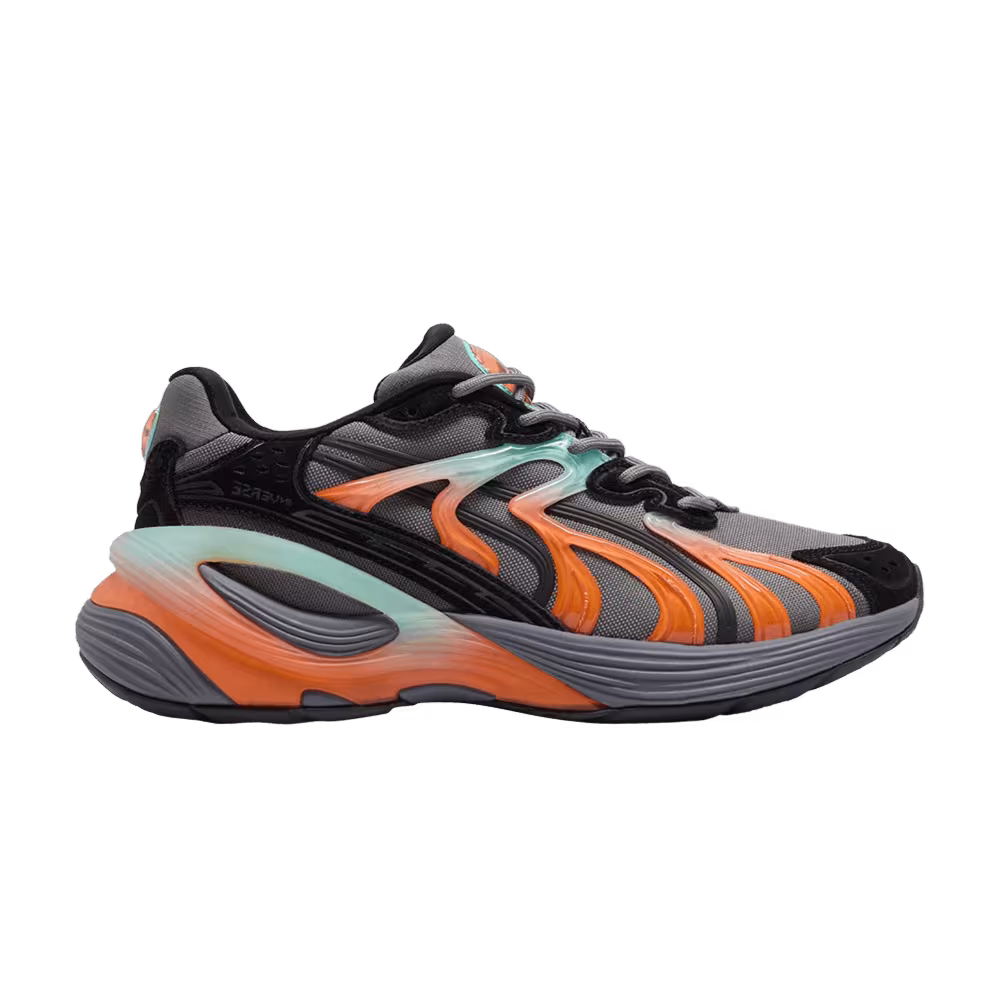 Puma Inverse Fission