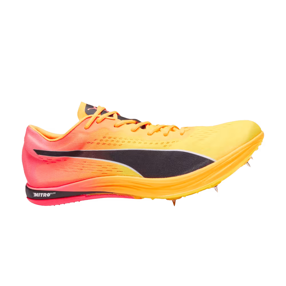 Puma evoSpeed Long Distance Sun Stream Sunset Glow