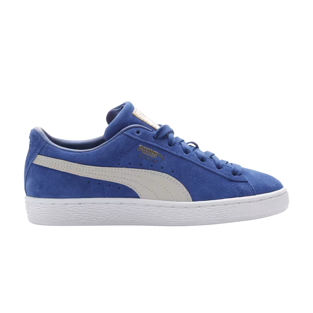 Puma Suede Surf The Web